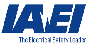 IAEI Logo